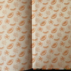 Vázlatfüzet 20*20cm 100g "papaya"